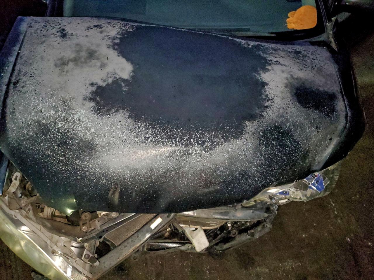 2004 Toyota Corolla Ce VIN: 1NXBR32E34Z309710 Lot: 95075245