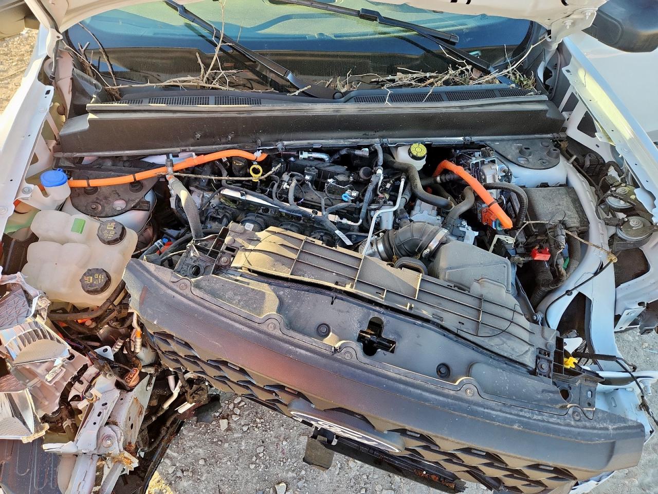 2025 Ford Maverick Xl VIN: 3FTTW8A3XSRA35456 Lot: 91866545