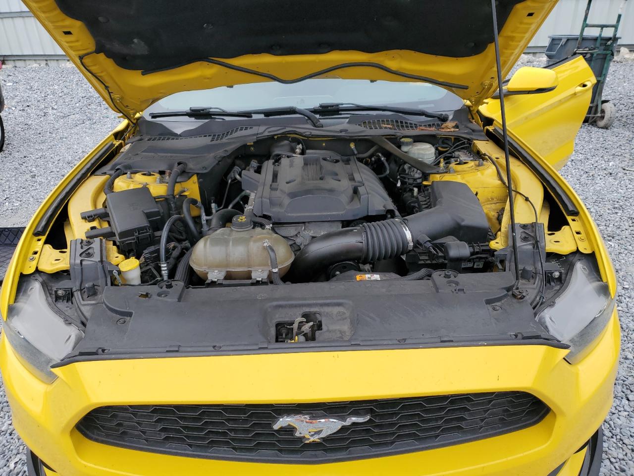 2016 Ford Mustang VIN: 1FA6P8TH4G5265223 Lot: 90639755