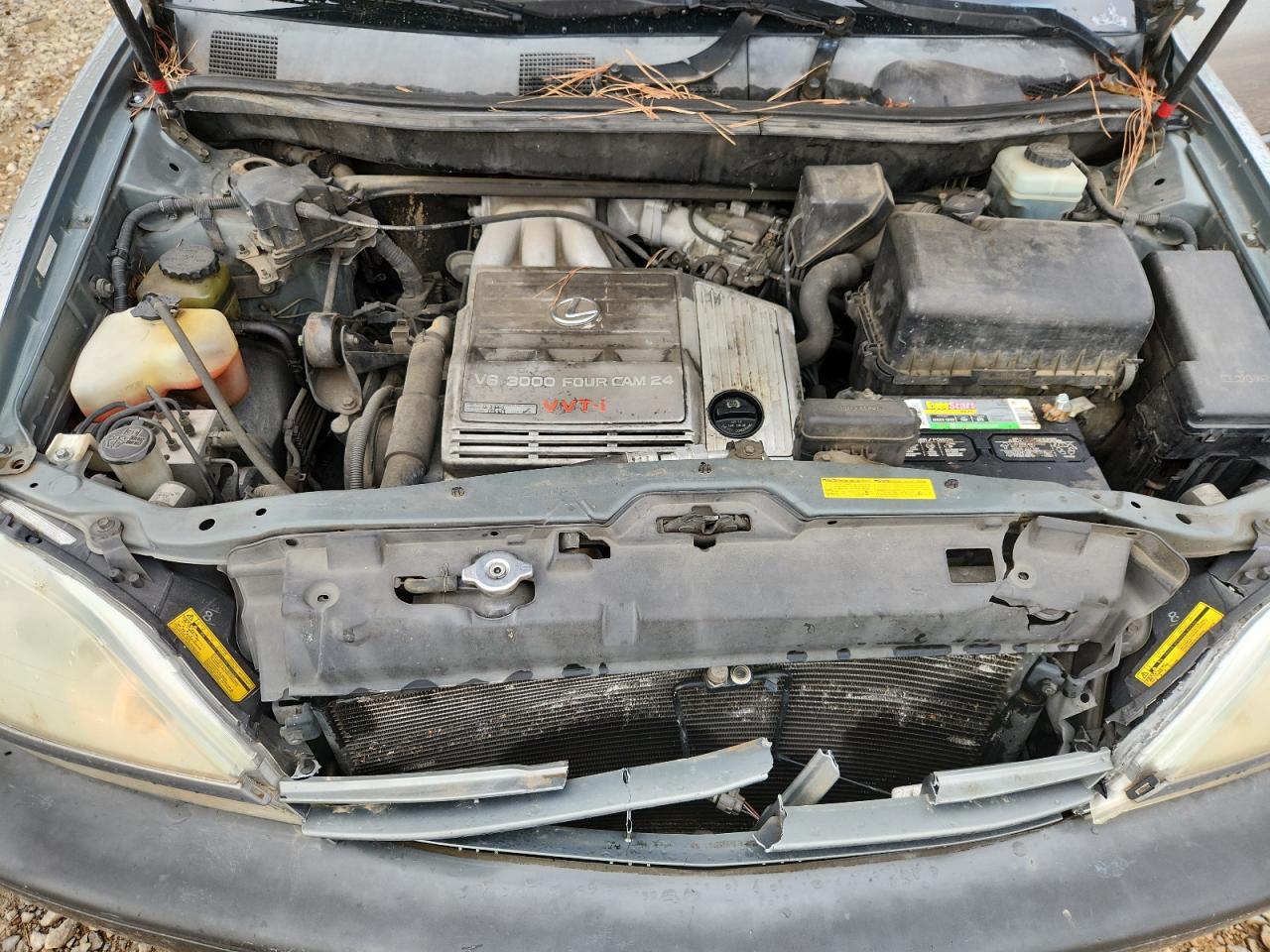 2002 Lexus Rx 300 VIN: JTJHF10U920246667 Lot: 92006275