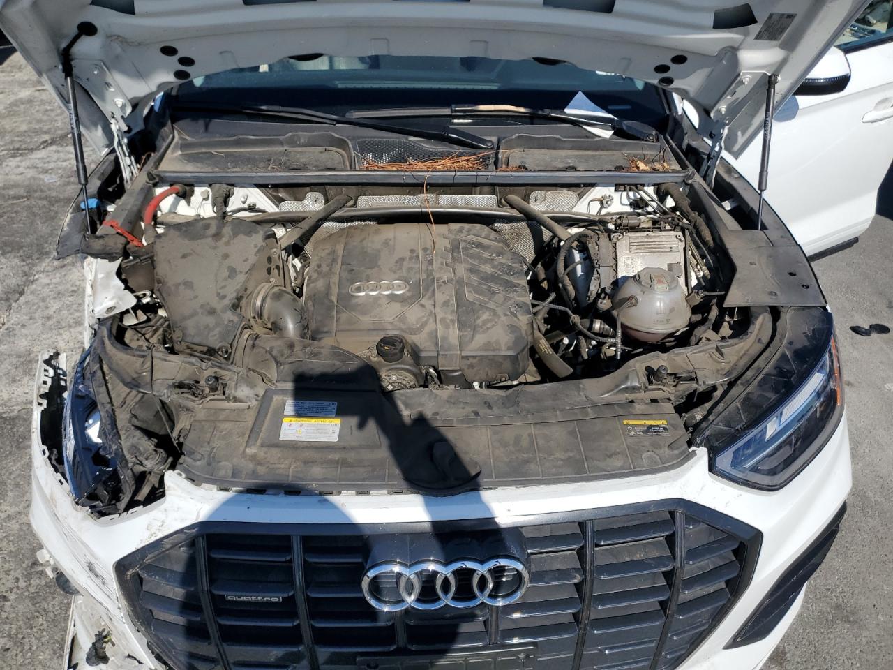 2023 Audi Q5 Premium Plus 40 VIN: WA1BBAFY6P2110419 Lot: 93699185