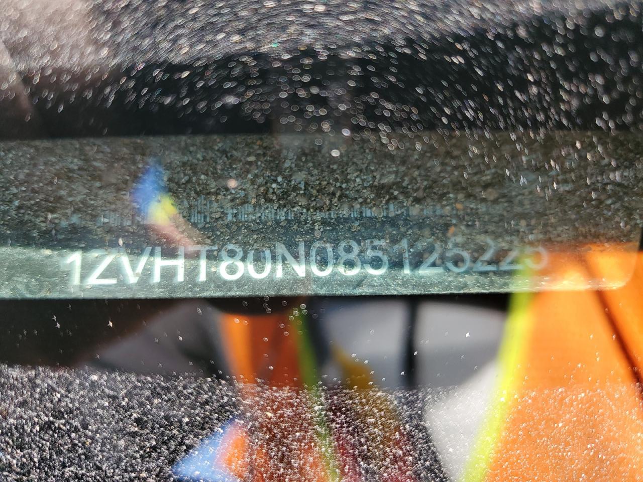 2008 Ford Mustang VIN: 1ZVHT80N085125225 Lot: 92084345