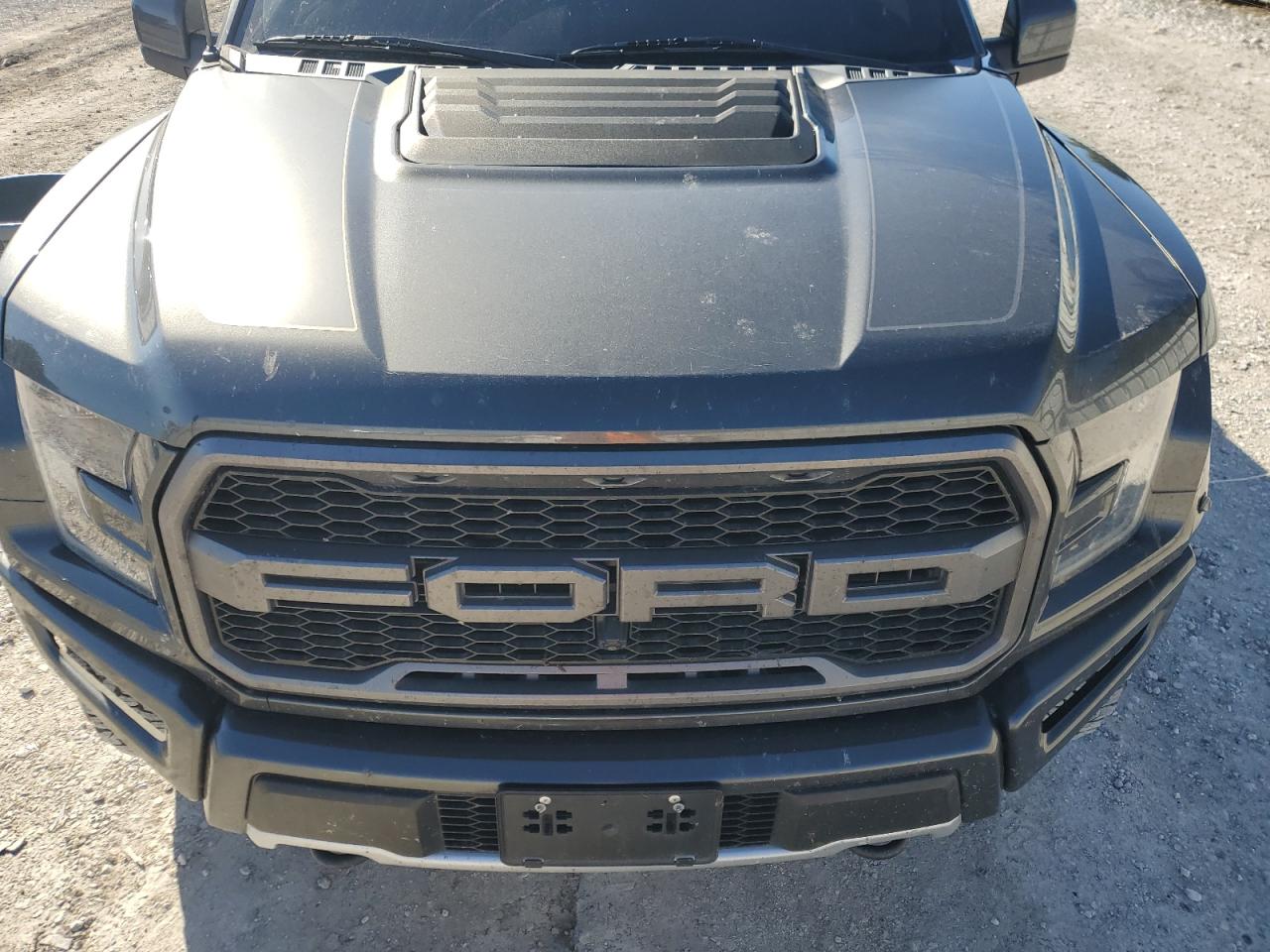 2018 Ford F150 Raptor VIN: 1FTFW1RG4JFE37352 Lot: 90989535