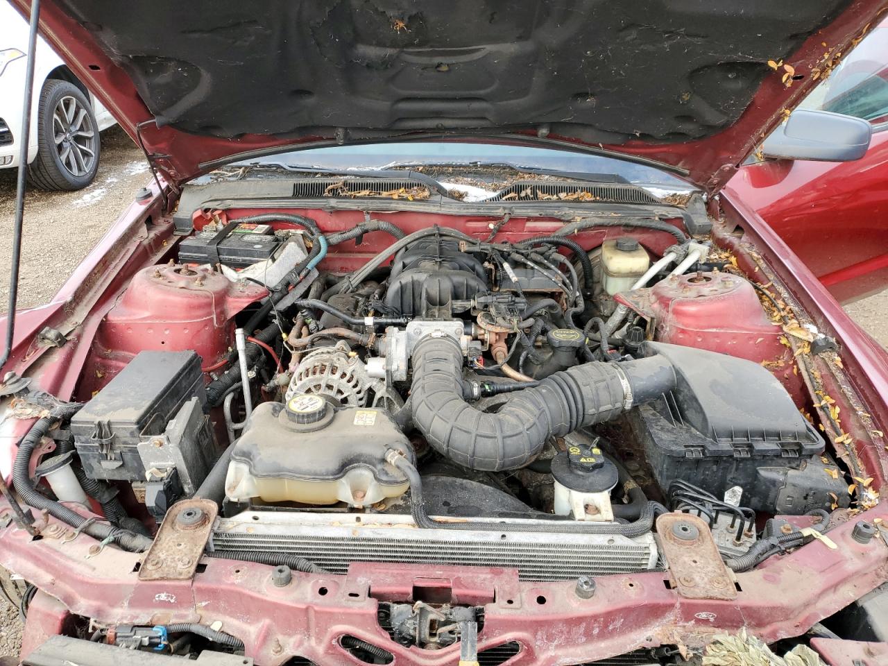 2006 Ford Mustang VIN: 1ZVHT80N565152031 Lot: 92177275