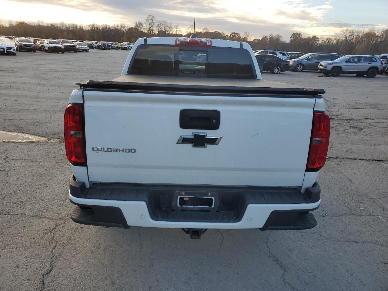 2019 Chevrolet Colorado Z71 VIN: 1GCGTDEN2K1212641 Lot: 91238985