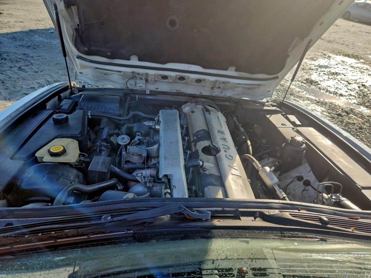 1997 Jaguar Xj6 VIN: SAJHX1243VC810007 Lot: 93600405