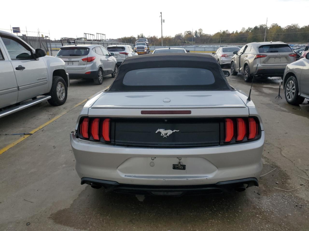 2019 Ford Mustang VIN: 1FATP8UH2K5131482 Lot: 91645795