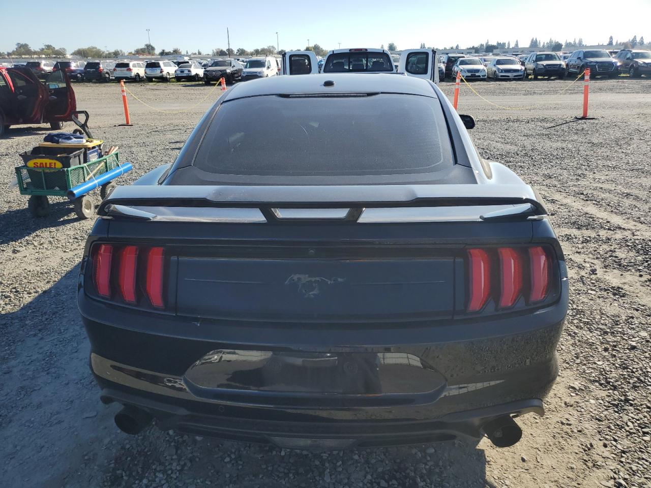 2019 Ford Mustang VIN: 1FA6P8TH9K5186171 Lot: 91829045