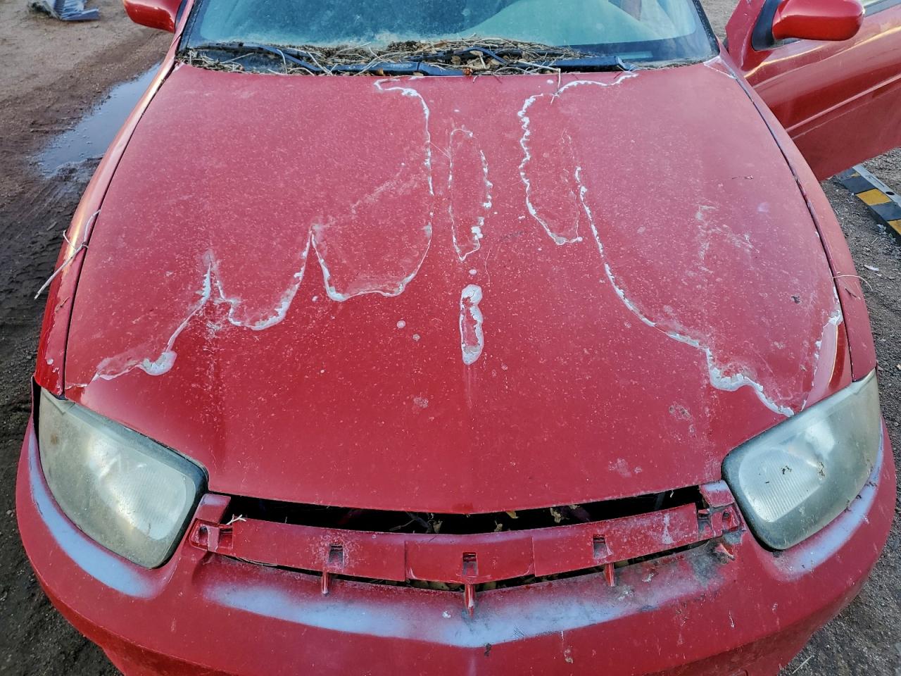 2004 Chevrolet Cavalier Ls Sport VIN: 1G1JH12F547249663 Lot: 93061605