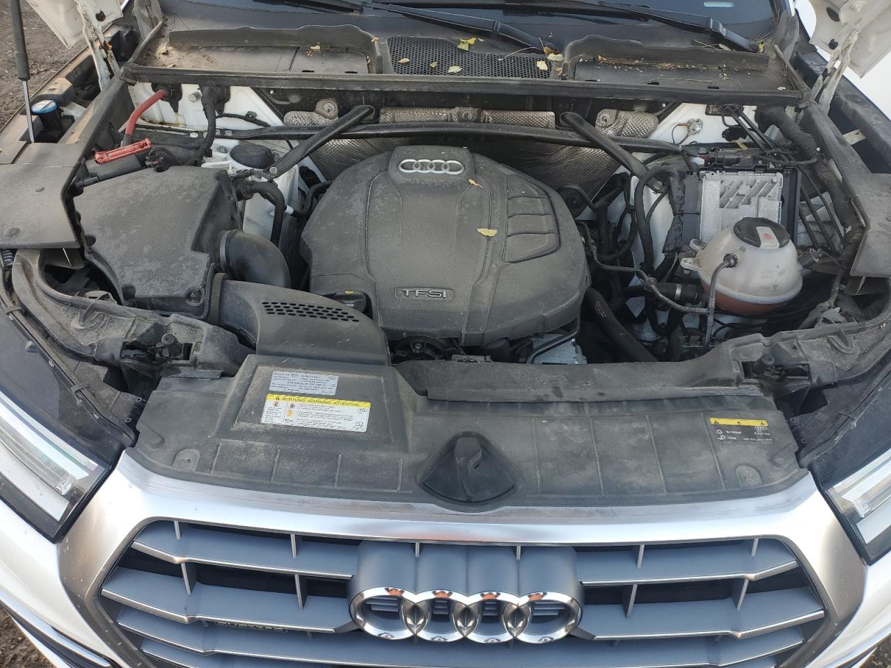 2019 Audi Q5 Premium Plus VIN: WA1BNAFY2K2032222 Lot: 92020165