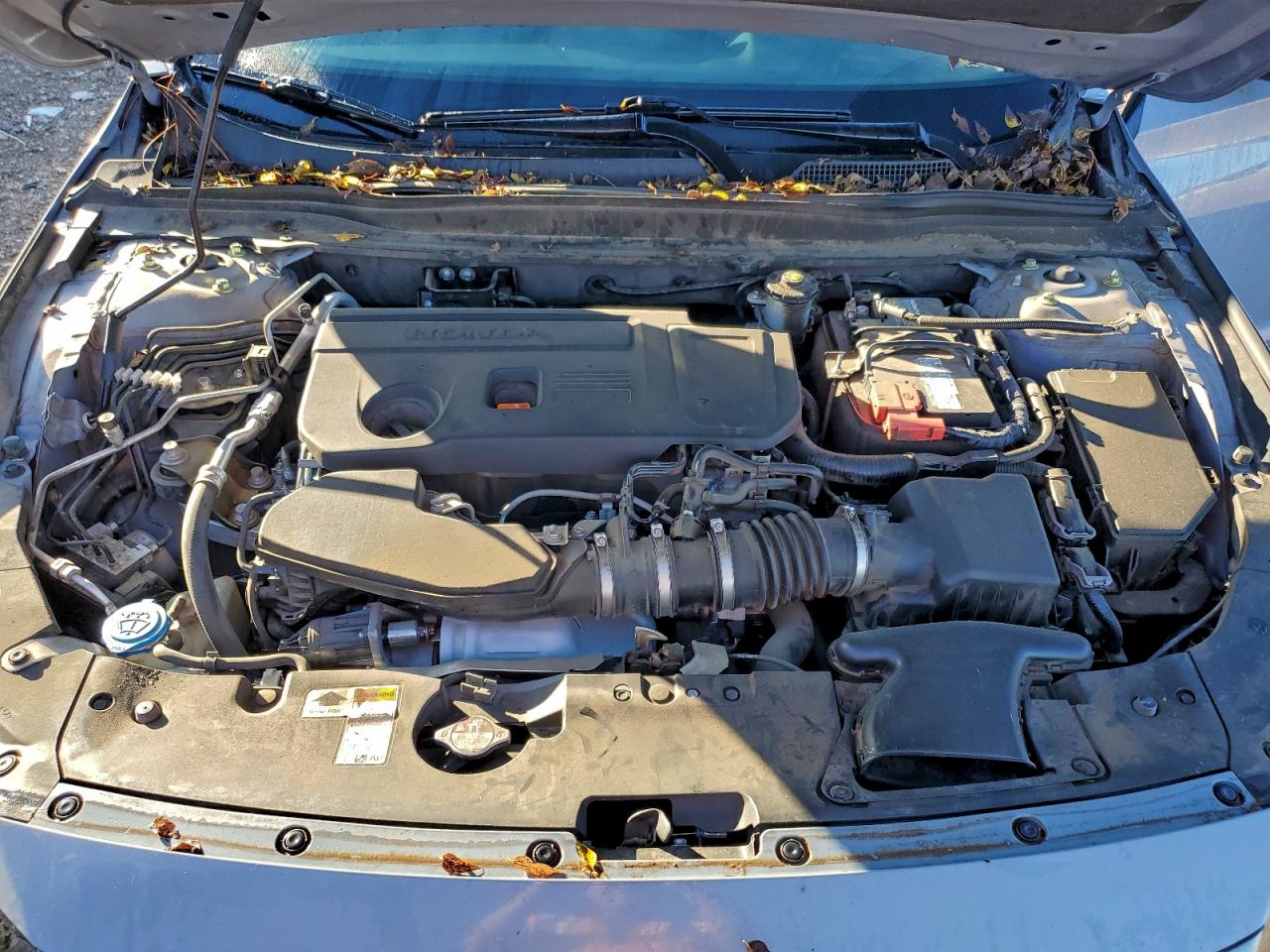 2021 Honda Accord Sport VIN: 1HGCV2F31MA019301 Lot: 93930595