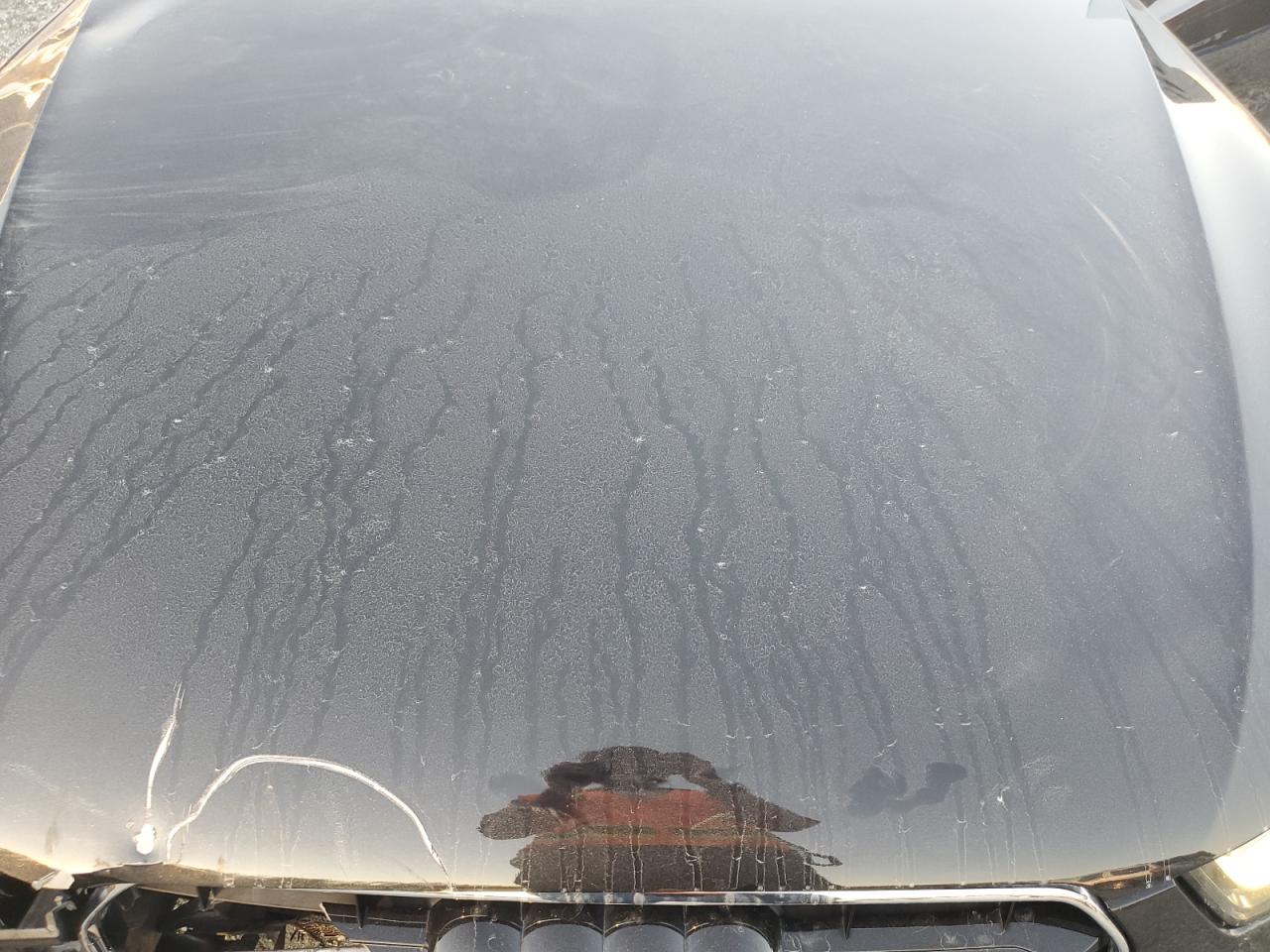 2014 Audi A5 Premium Plus VIN: WAULFAFH2EN000507 Lot: 90491295