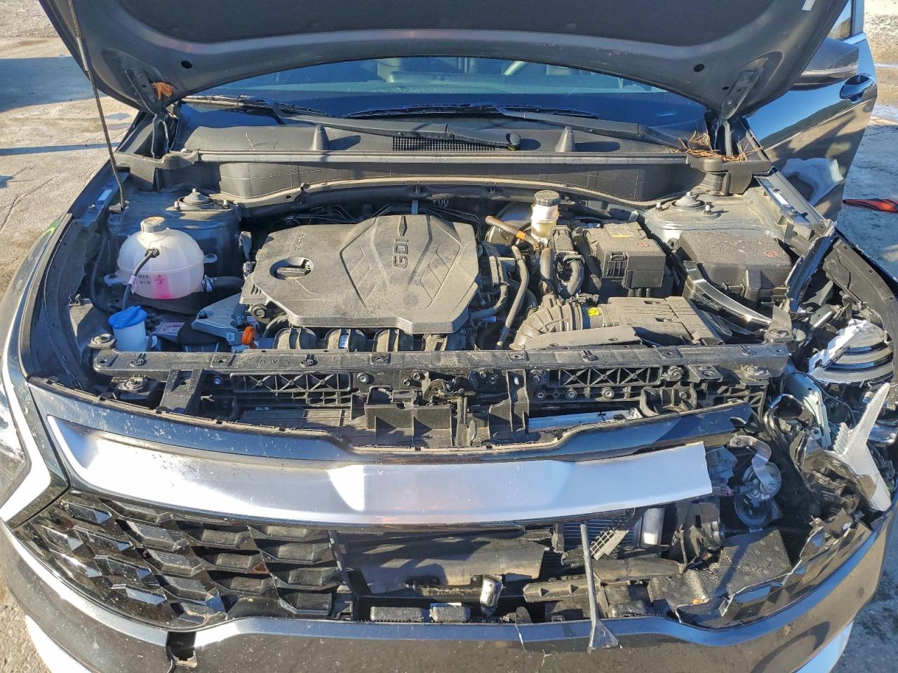 2024 Kia Sportage Ex VIN: KNDPV3DF7R7276874 Lot: 94572415