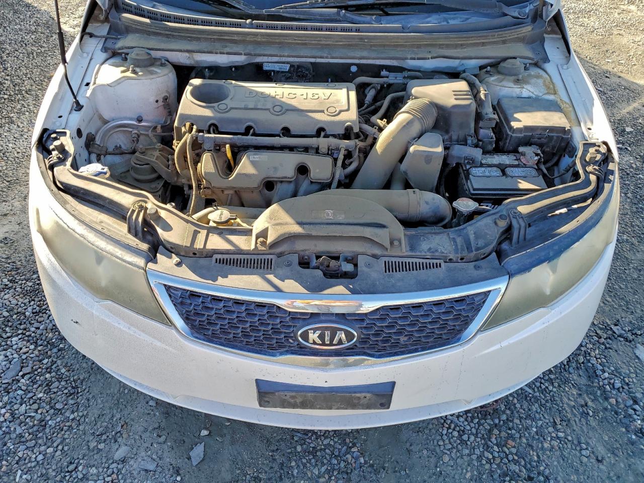 2013 Kia Forte Ex VIN: KNAFU4A29D5646729 Lot: 94191035