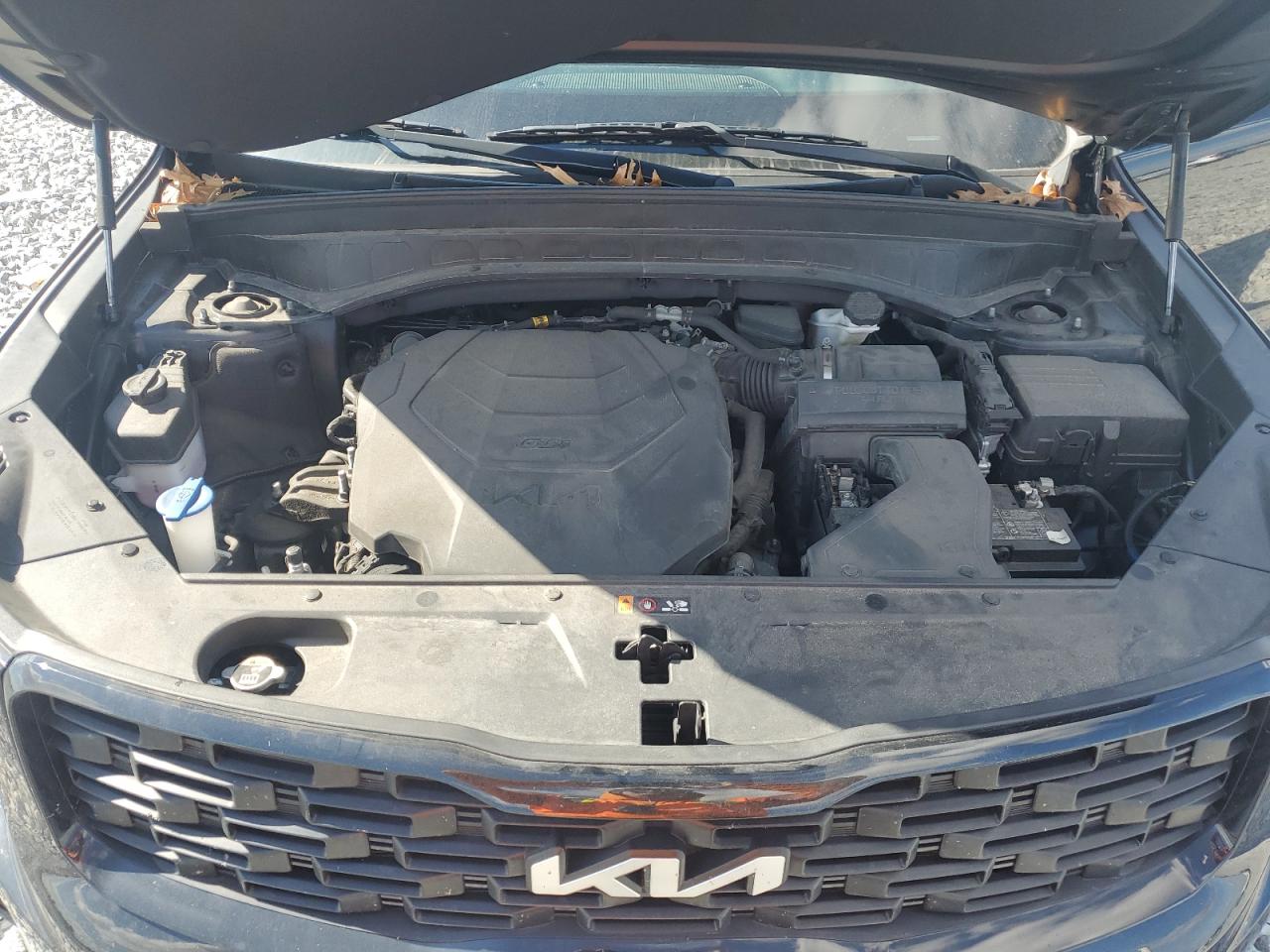 2022 Kia Telluride Ex VIN: 5XYP3DHCXNG318494 Lot: 93072695