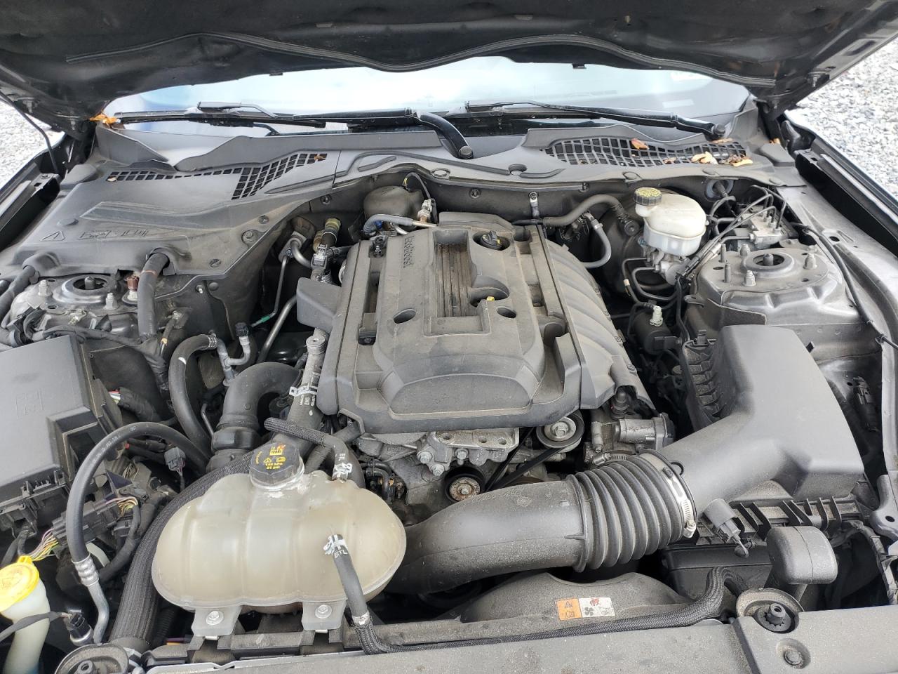 2017 Ford Mustang VIN: 1FA6P8TH0H5308781 Lot: 91965985