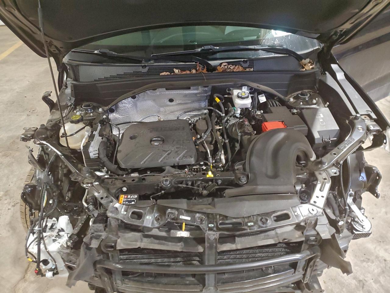 2023 Chevrolet Trailblazer Rs VIN: KL79MUSL5PB136405 Lot: 93489095