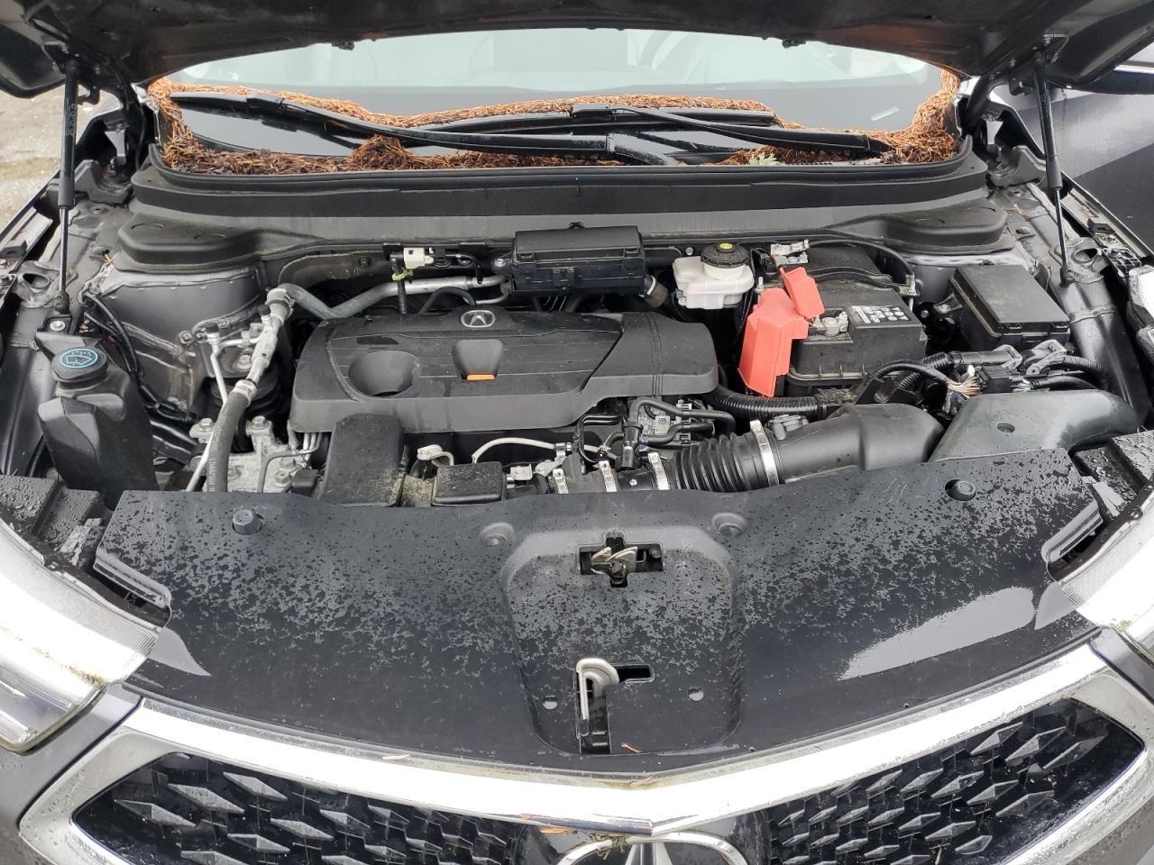 Фото: 5J8TC2H70KL035299