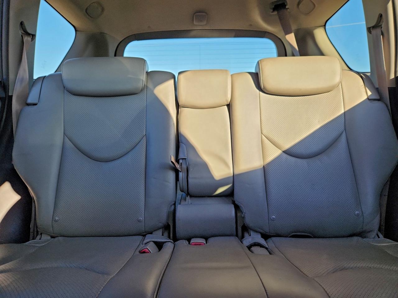 2007 Toyota Rav4 Limited VIN: JTMBK31V175029471 Lot: 93508185