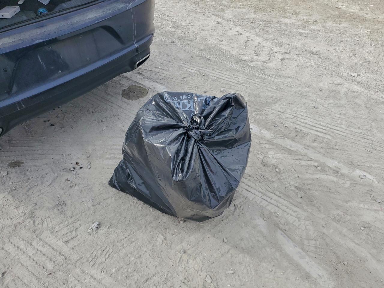 2015 Dodge Charger Se VIN: 2C3CDXBG3FH918886 Lot: 94233985