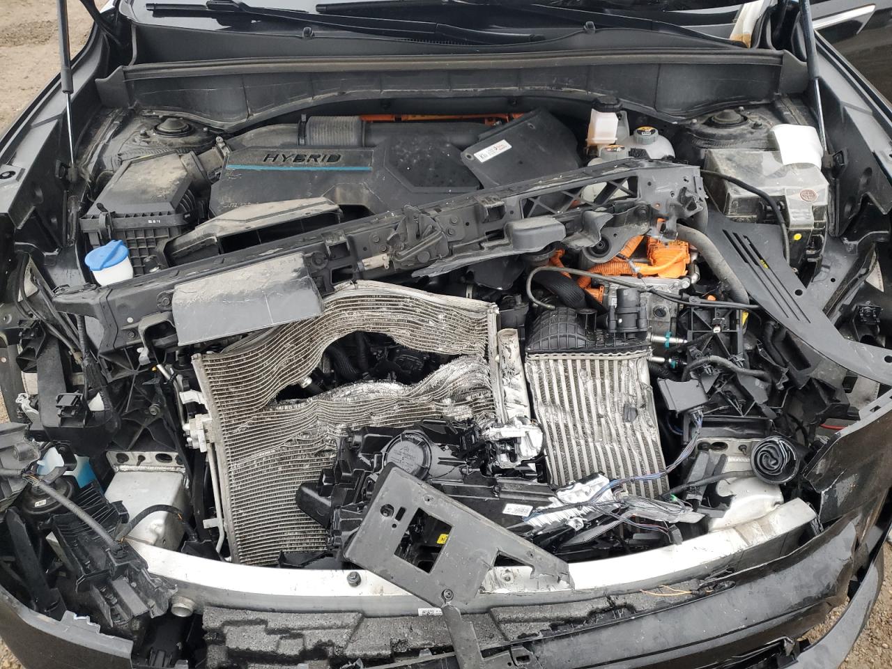 2022 Kia Sorento Sx VIN: KNDRJDLH0N5118718 Lot: 93359665