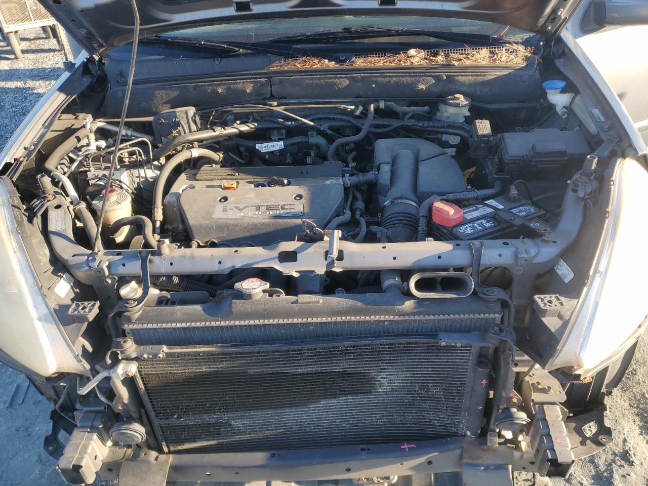 2005 Honda Cr-V Se VIN: SHSRD78905U315552 Lot: 91894375