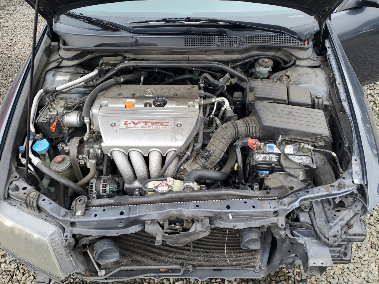 2007 Acura Tsx VIN: JH4CL96987C008093 Lot: 92683765