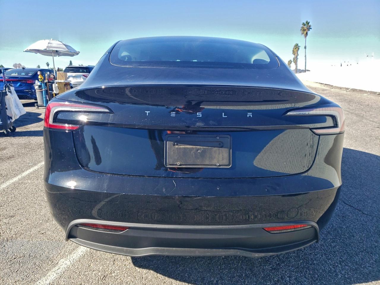 2025 Tesla Model 3 VIN: 5YJ3E1EA8SF976893 Lot: 94480085