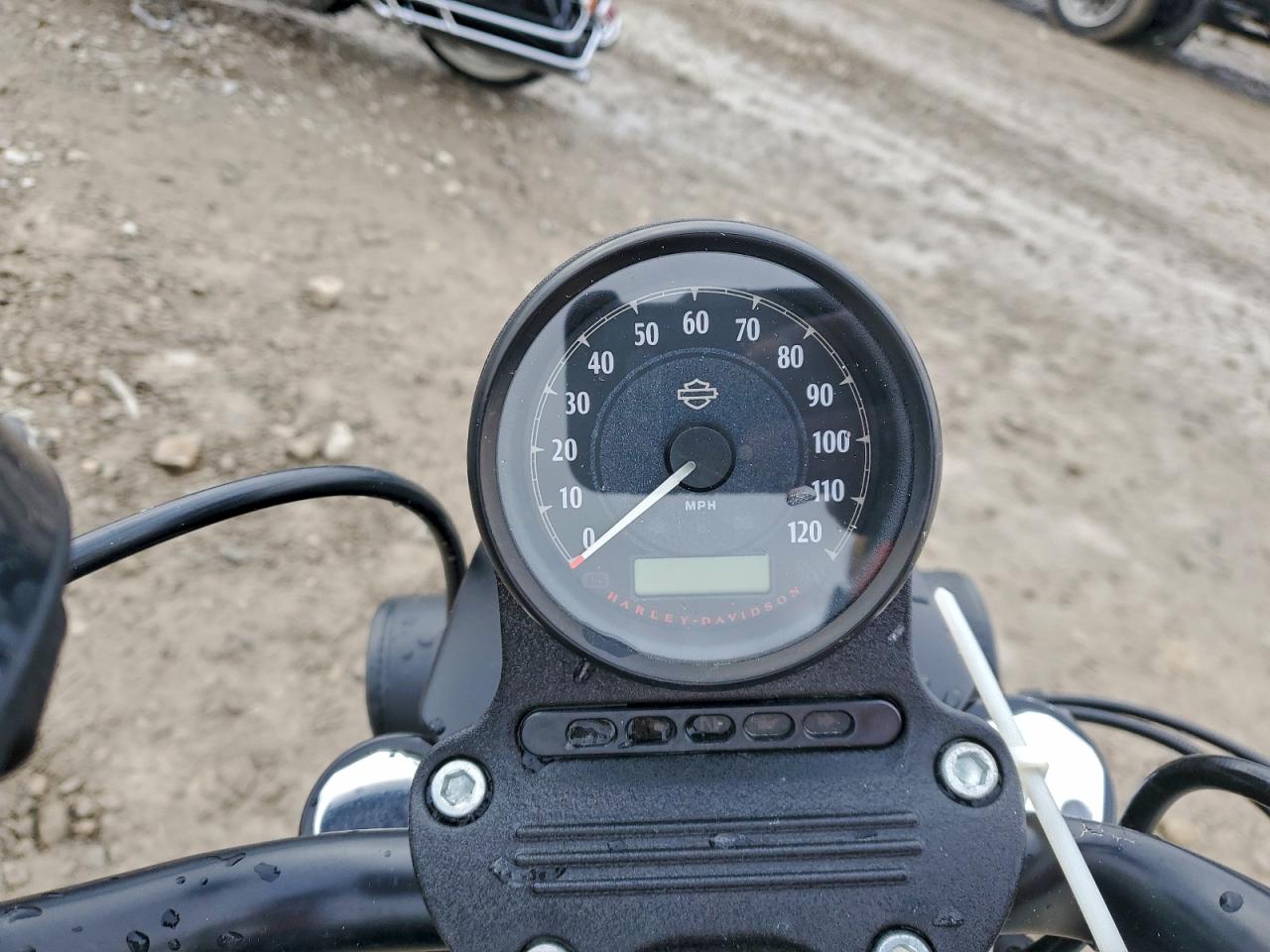 2021 Harley-Davidson Xl883 N VIN: 1HD4LE21XMB404279 Lot: 94263485