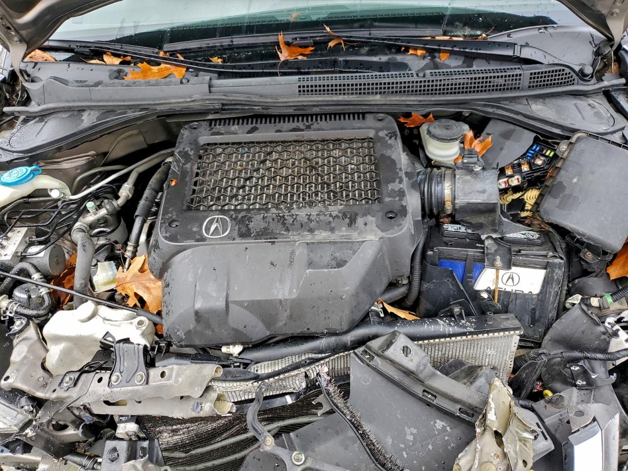 2008 Acura Rdx Technology VIN: 5J8TB18598A015164 Lot: 93651655