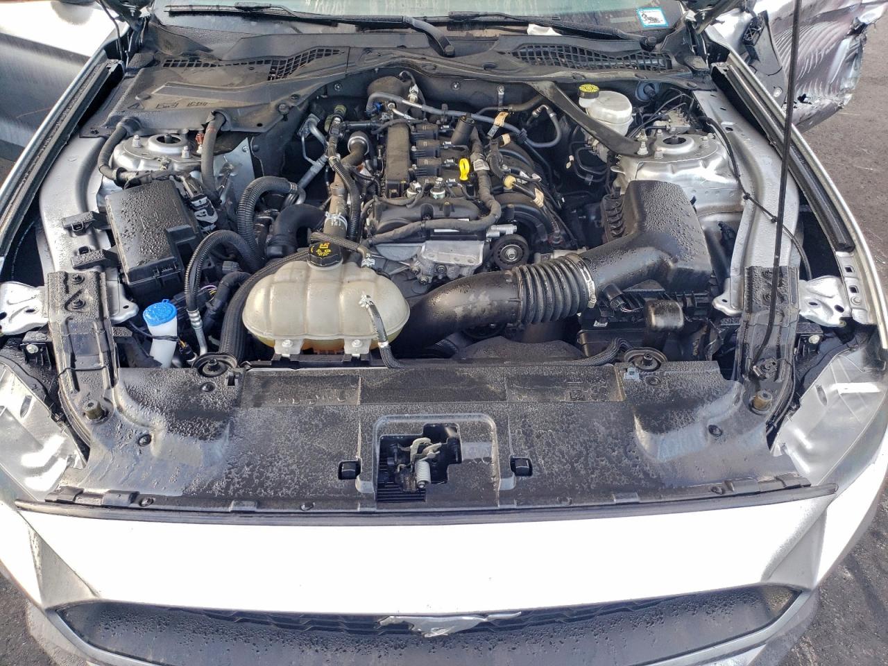 2022 Ford Mustang VIN: 1FATP8UHXN5149202 Lot: 93490365