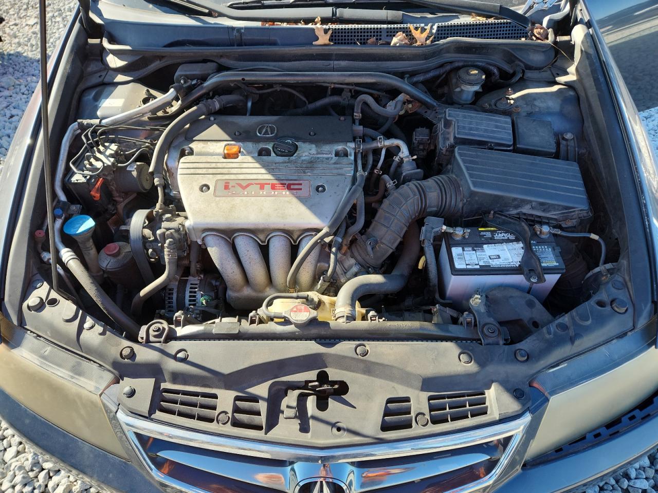 2007 Acura Tsx VIN: JH4CL96967C022574 Lot: 92444815