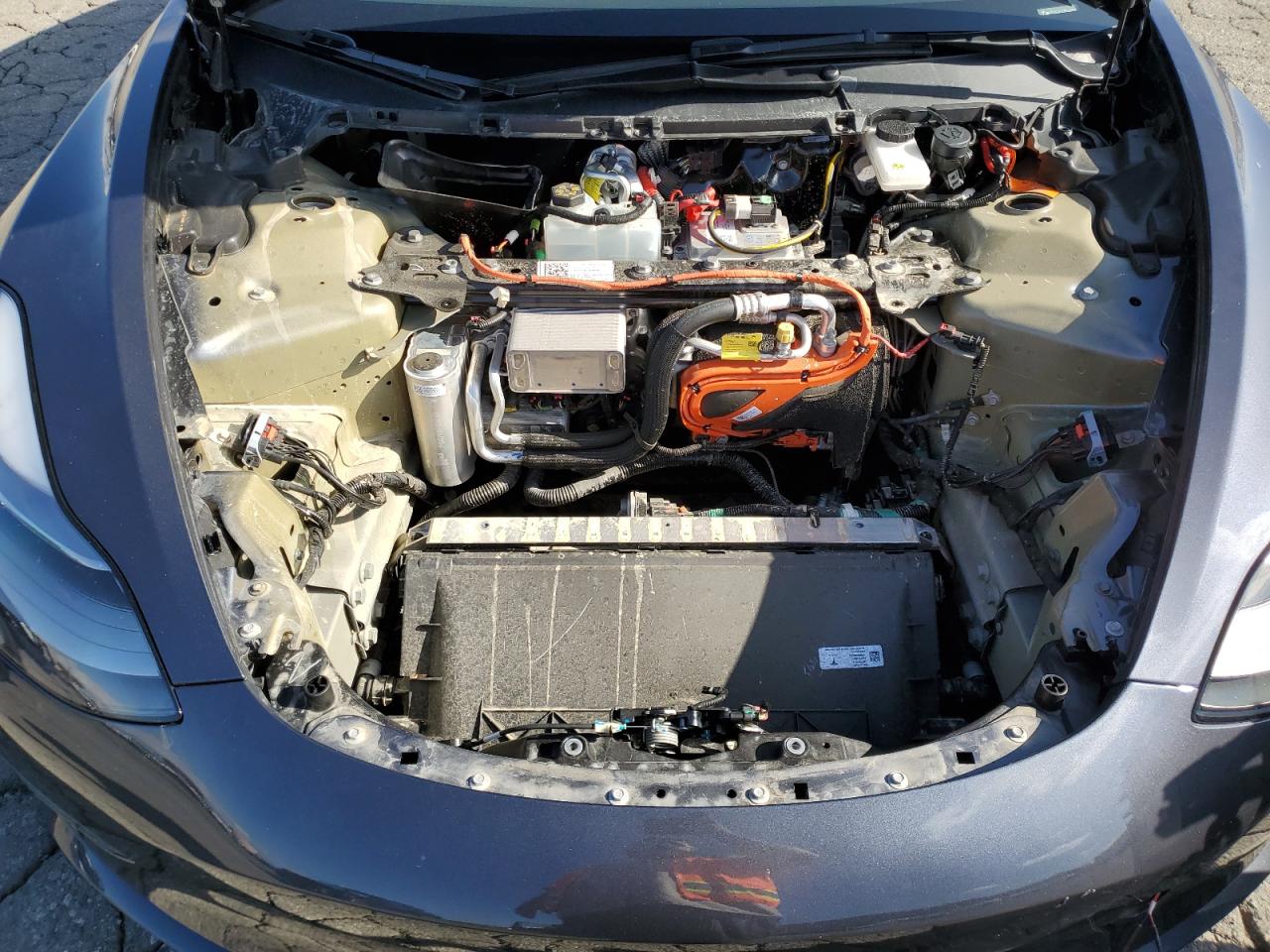 2023 Tesla Model 3 VIN: 5YJ3E1EA0PF556973 Lot: 93477275