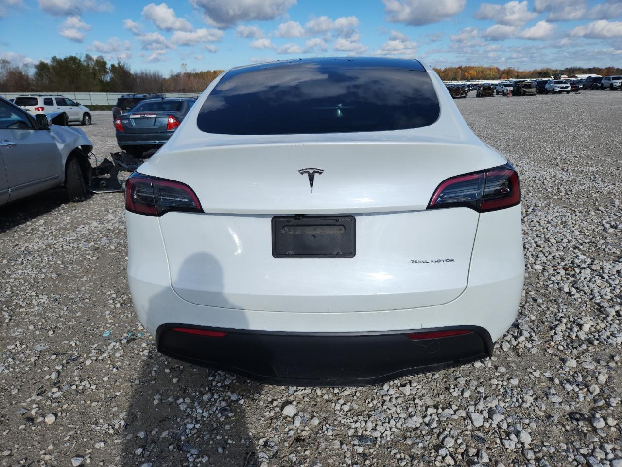 2025 Tesla Model Y VIN: 7SAYGAEE8SF251123 Lot: 91029375