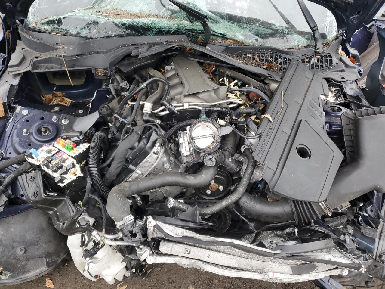 2020 Ford Mustang Gt VIN: 1FA6P8CF7L5129726 Lot: 93524335