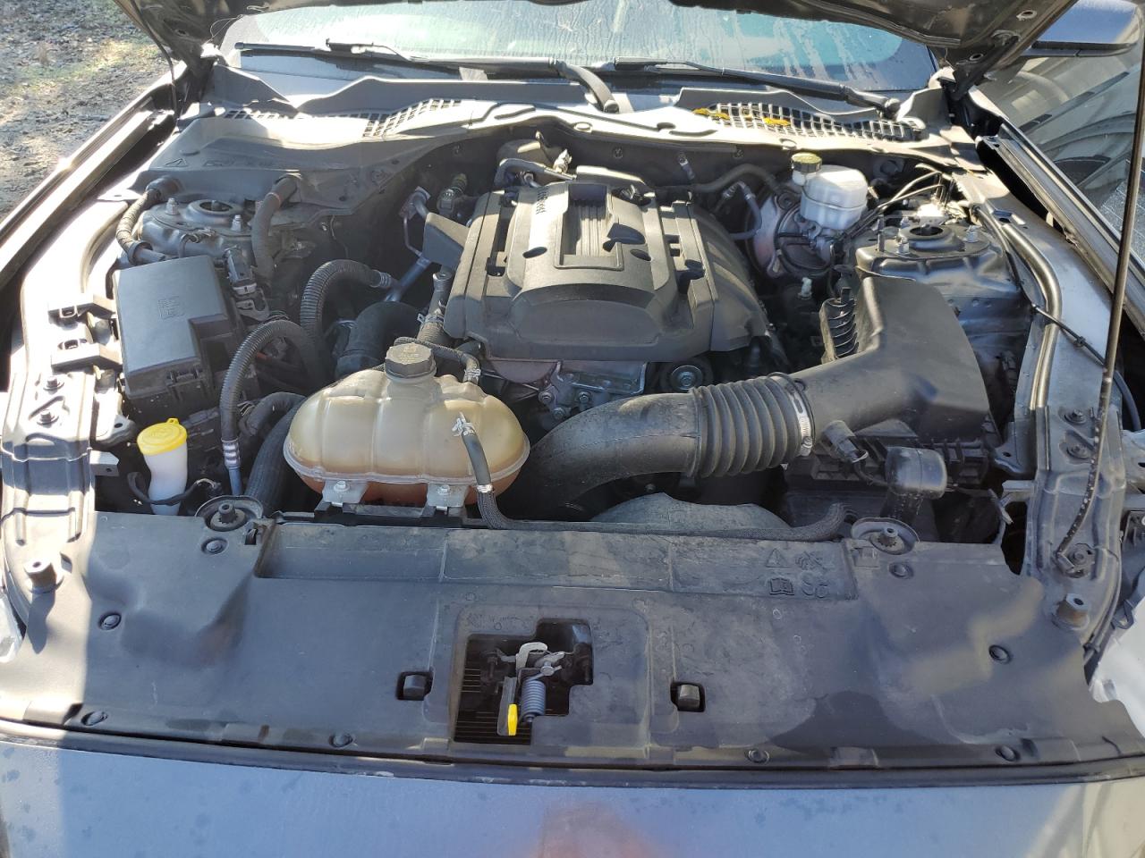 2019 Ford Mustang VIN: 1FA6P8TH2K5177926 Lot: 92451945