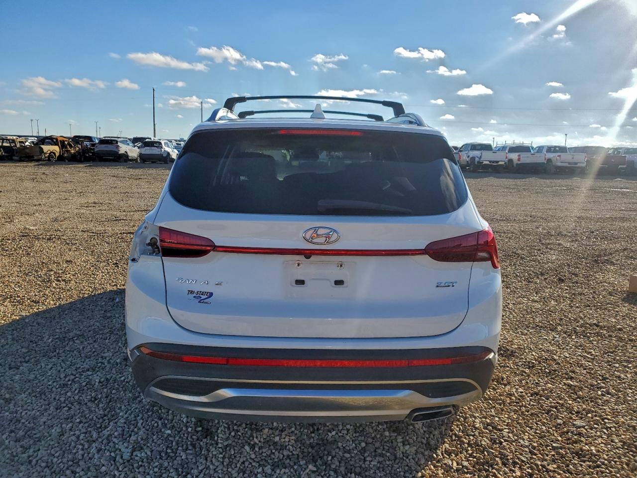 2022 Hyundai Santa Fe Limited VIN: 5NMS44AL4NH397572 Lot: 92636635
