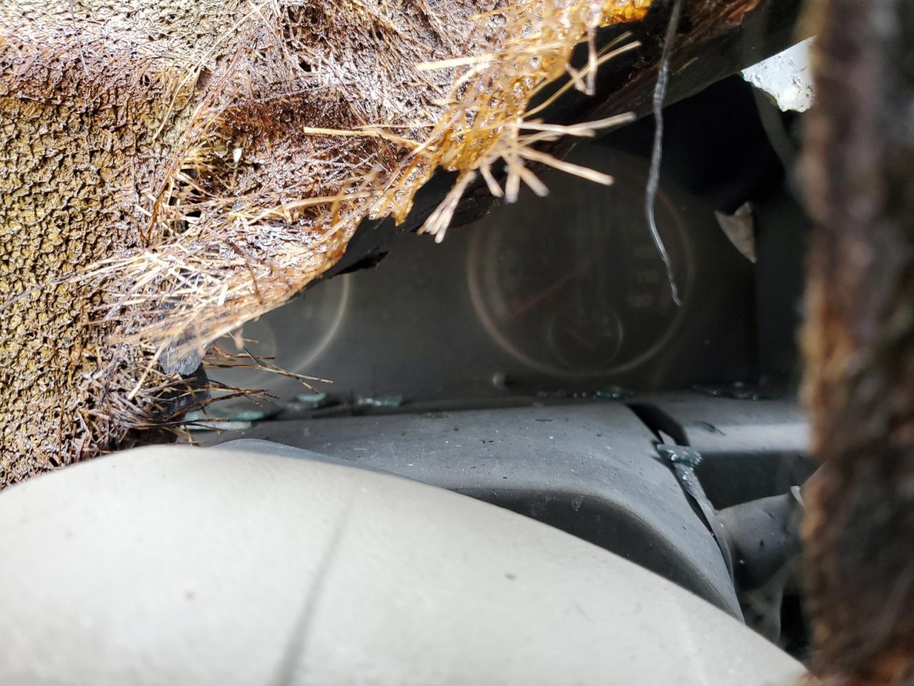 2010 Dodge Ram 1500 VIN: 1D7RV1GT1AS128600 Lot: 93746935