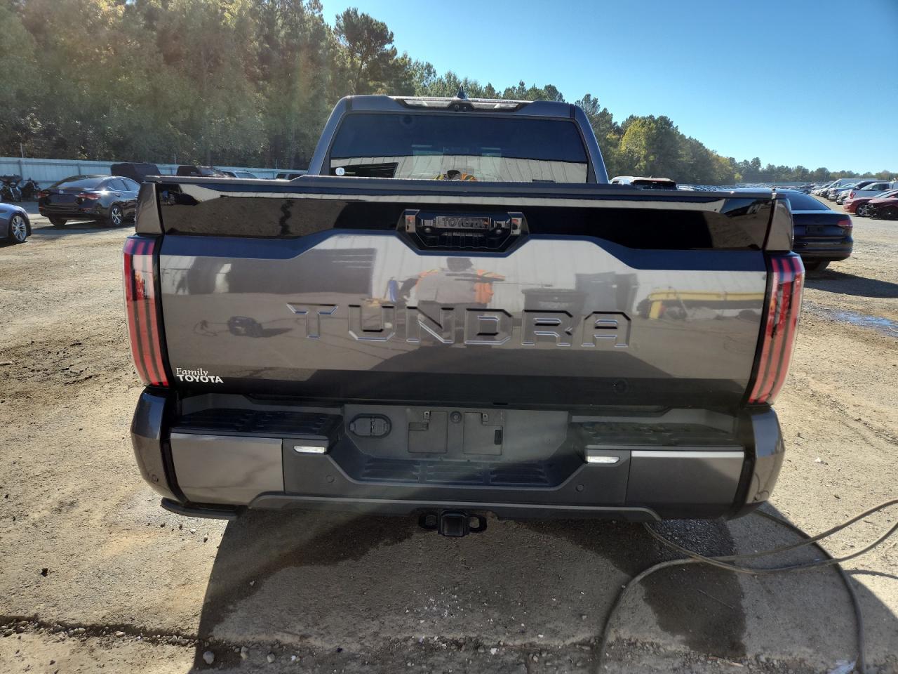 2022 Toyota Tundra Crewmax Platinum VIN: 5TFNA5AB4NX014031 Lot: 90837355