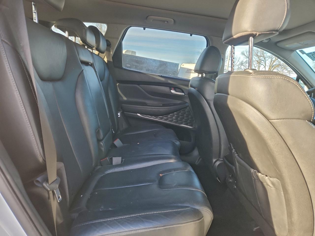 2020 Hyundai Santa Fe Sel VIN: 5NMS3CAA9LH254383 Lot: 94341135