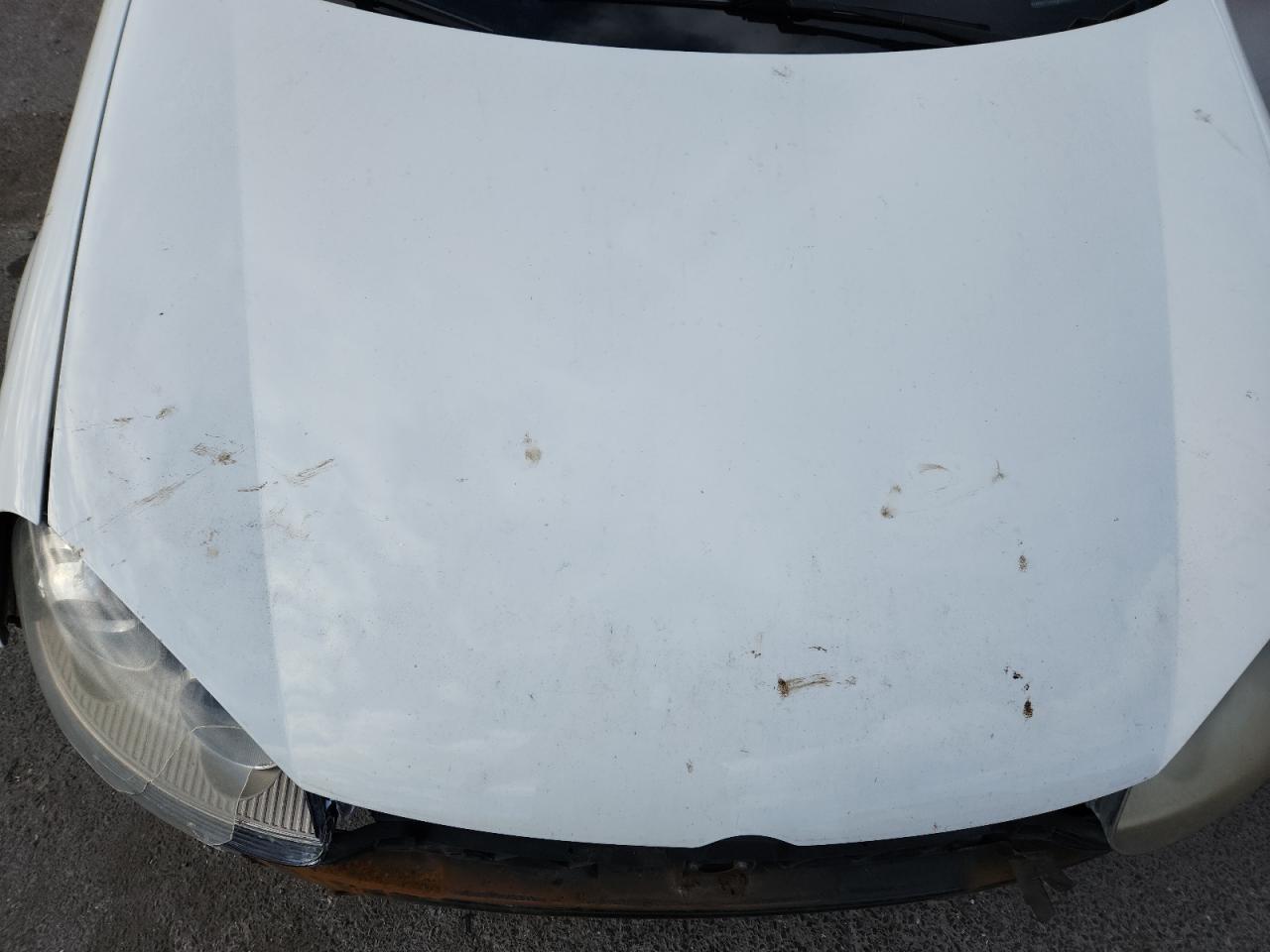 2006 Volkswagen New Gti VIN: WVWEV71K56W093510 Lot: 92987655