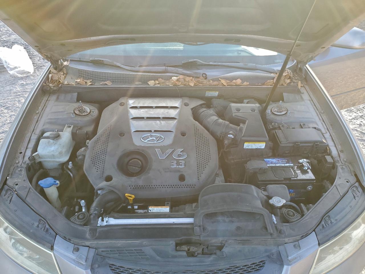 2007 Hyundai Sonata Se VIN: 5NPEU46FX7H165340 Lot: 94275615