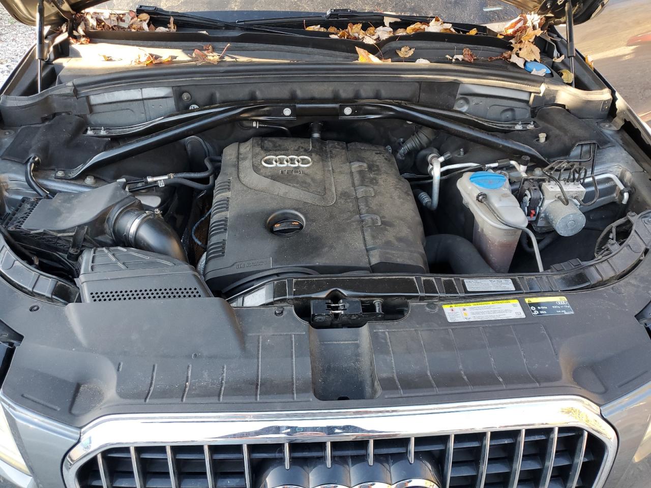 2013 Audi Q5 Premium VIN: WA1CFAFP5DA054202 Lot: 92880565