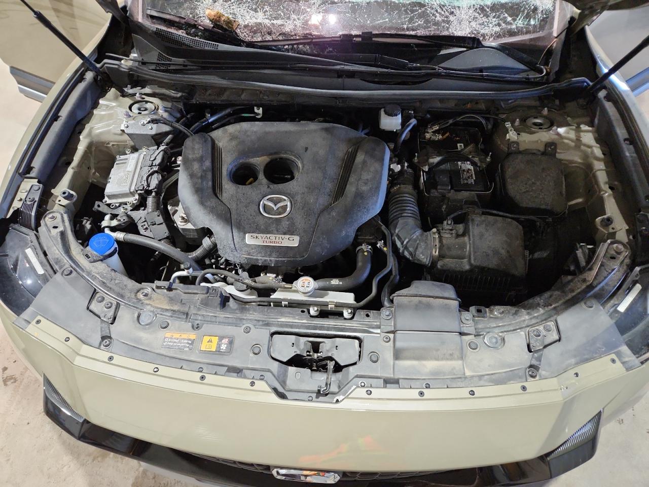 2024 Mazda Cx-50 Base VIN: 7MMVABXY5RN225802 Lot: 92632425