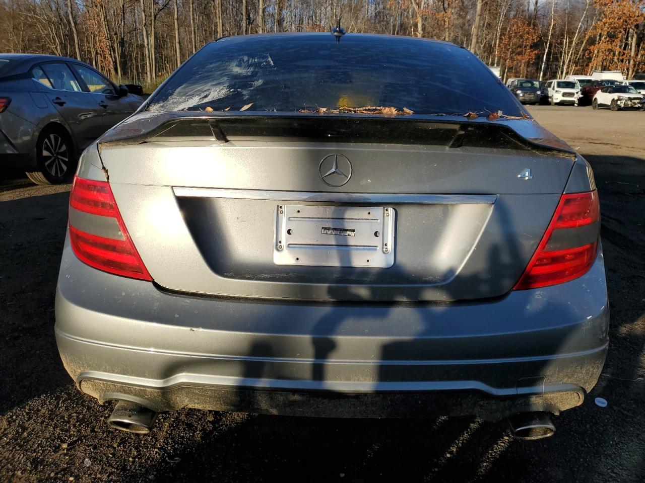 2012 Mercedes-Benz C 300 4Matic VIN: WDDGF8BB2CR196068 Lot: 92934885