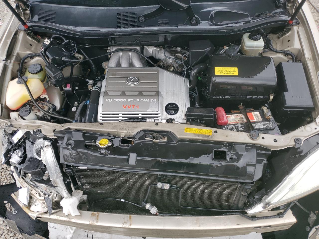 2003 Lexus Rx 300 VIN: JTJHF10U830304415 Lot: 92933685