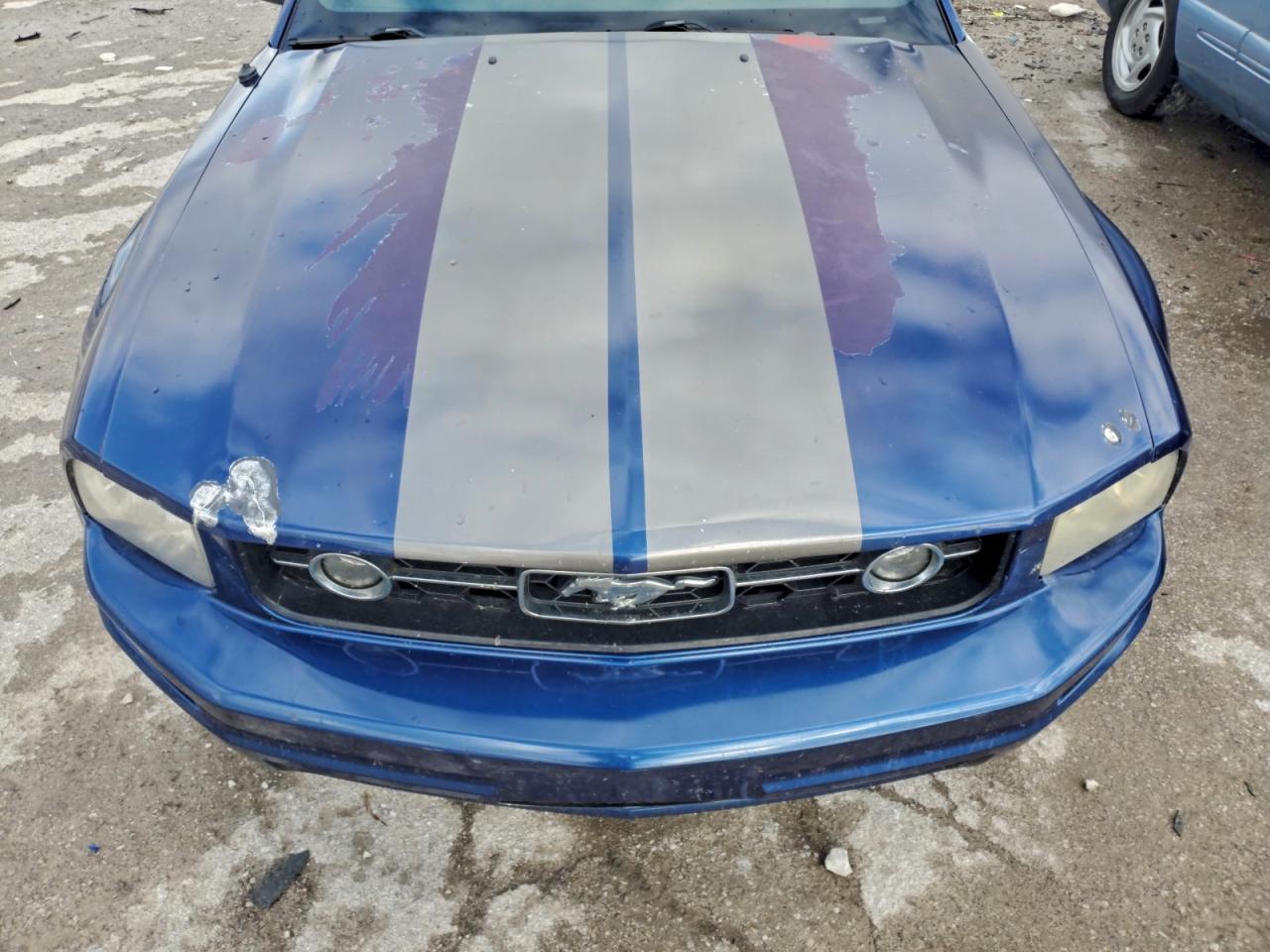 2006 Ford Mustang VIN: 1ZVFT80N765110645 Lot: 93628205