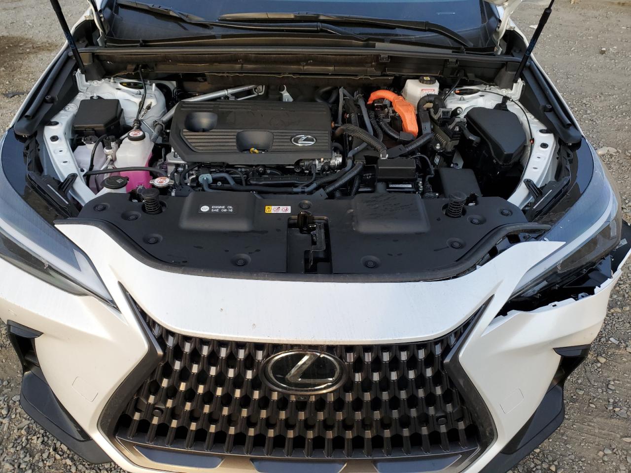 2025 Lexus Nx 350H Base VIN: JTJGKCEZ1S5030709 Lot: 92114585