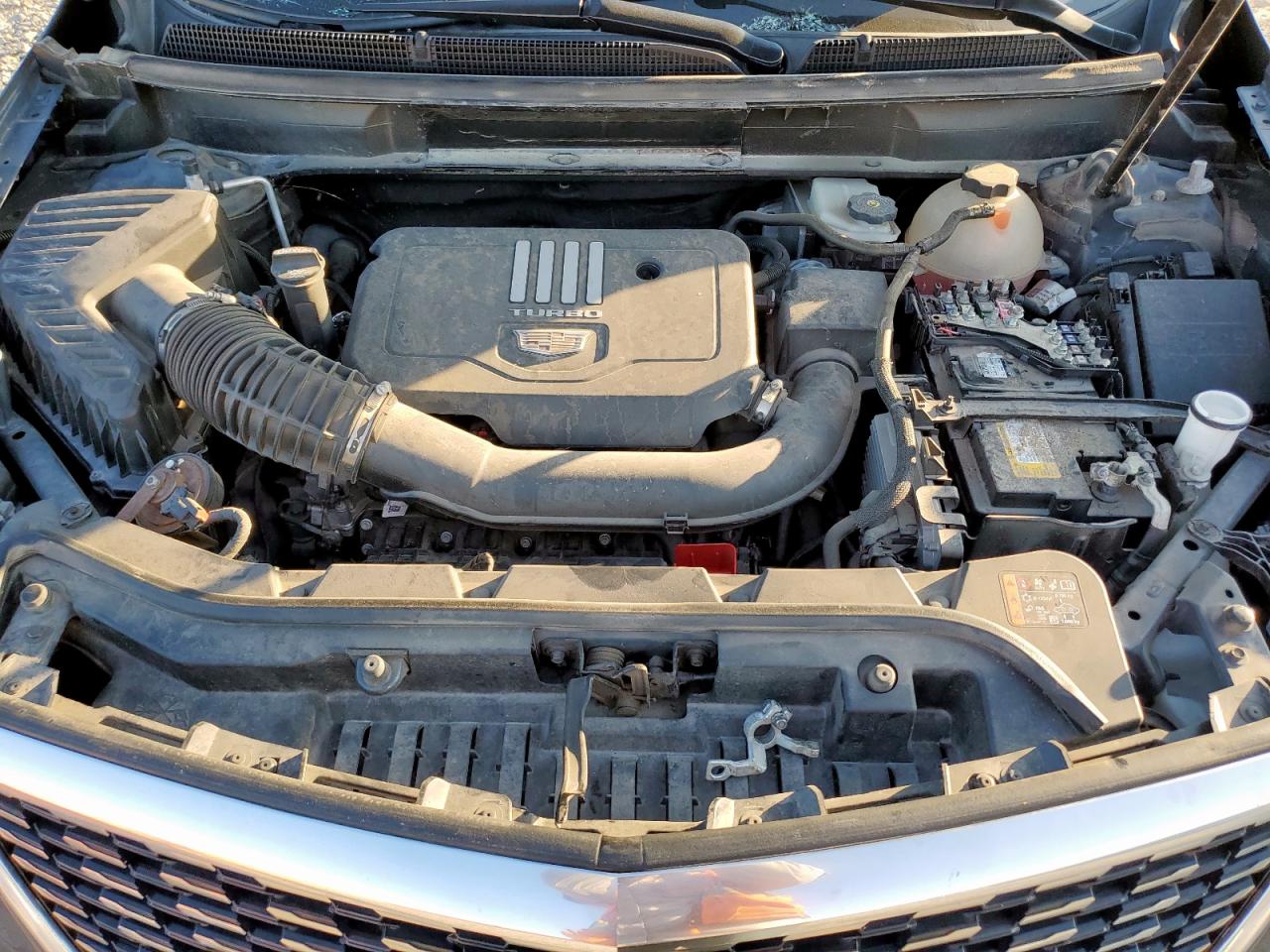 2021 Cadillac Xt5 Luxury VIN: 1GYKNAR49MZ181861 Lot: 92321715