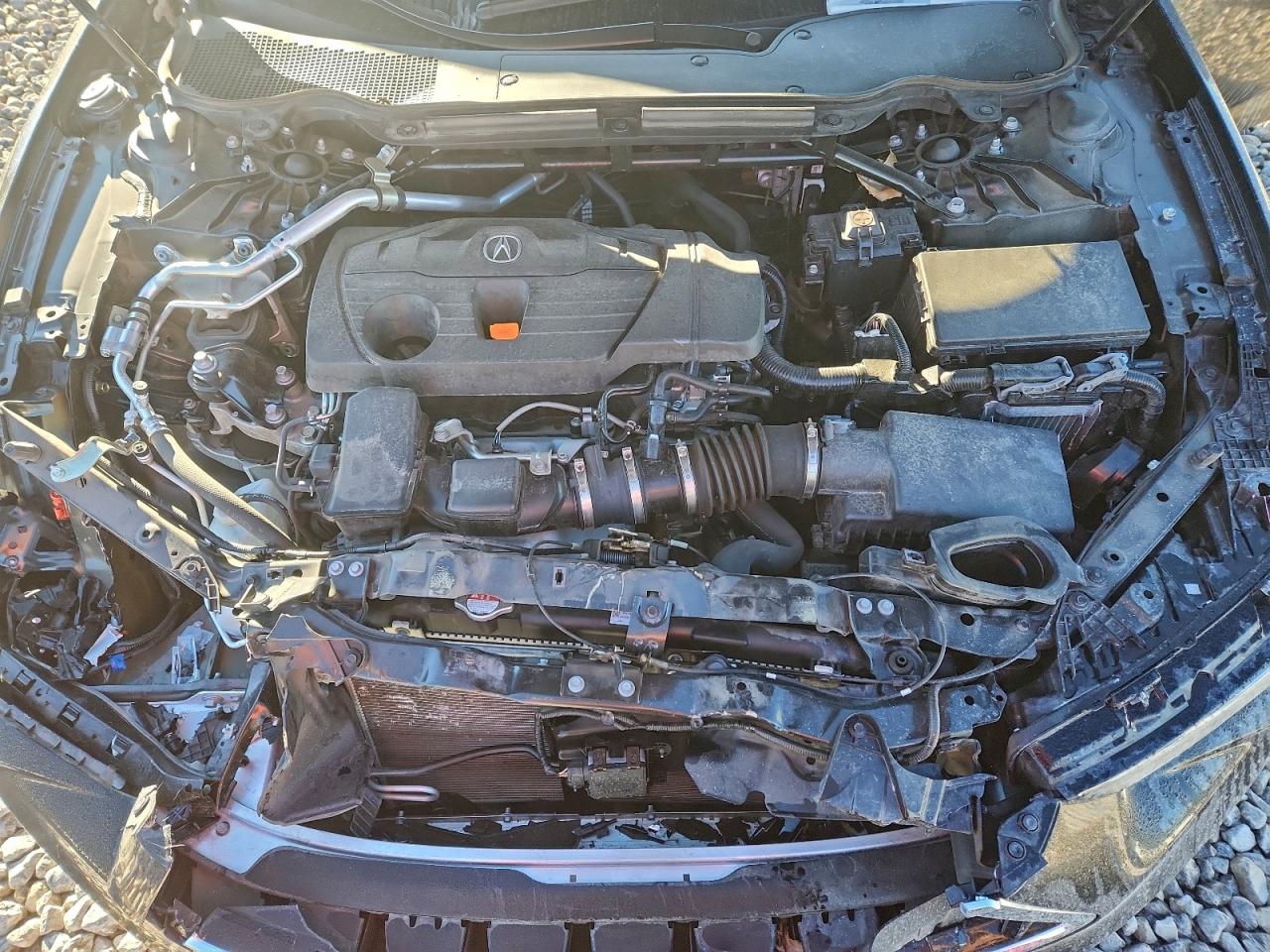 2021 Acura Tlx Technology VIN: 19UUB6F43MA006949 Lot: 93485335